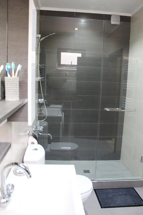 Lasha Apartment Tbilisi
